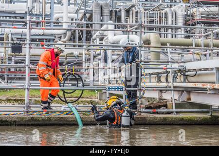 I subacquei industriali sono altamente specializzati lavoratori, spesso svolgono i loro compiti sotto complicati e difficili condizioni.Un subacqueo industriale in una moderna drysuit riparato in un impianto chimico a Stade tubi di collegamento sottomarino. Foto: 2016, 06 aprile. Foto Stock