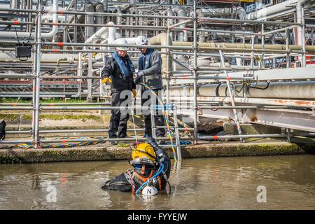 I subacquei industriali sono altamente specializzati lavoratori, spesso svolgono i loro compiti sotto complicati e difficili condizioni.Un subacqueo industriale in una moderna drysuit riparato in un impianto chimico a Stade tubi di collegamento sottomarino. Foto: 2016, 06 aprile. Foto Stock