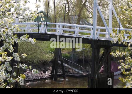 All inizio di maggio la regione denominata "Altes Land" (vecchio paese) a nord-ovest di Amburgo si trasforma in un mare di fiori su decine di migliaia di apple- e cherrytrees. Foto Stock