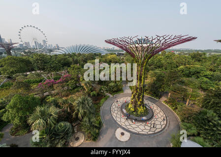 Il Super alberi in giardini dalla baia Natura Park, Singapore Foto Stock