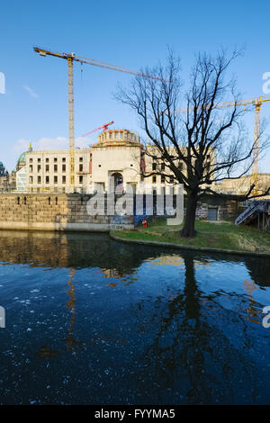 Struttura ad albero Spreekanal davanti a Berlino Palace Foto Stock