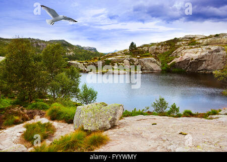 Montagna sulla strada per la scogliera Prekestolen nel fiordo Lysefjord - Norvegia Foto Stock