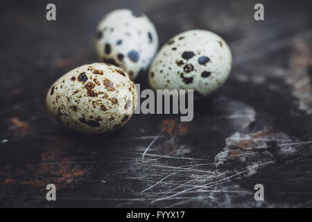 Uova di quaglia su sfondo scuro Foto Stock