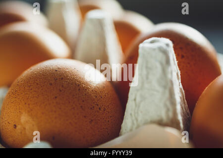 Uova di gallina nel vassoio delle uova Foto Stock