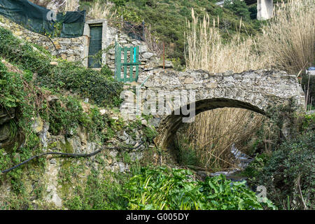 Il ponte di pietra nel trail Foto Stock