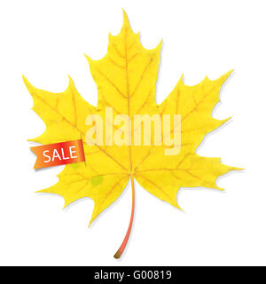 Vendita autunnale Leaf Foto Stock