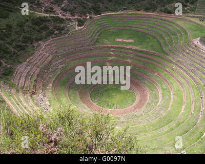 Moray terrazzamenti agricoli nella Valle Sacra vicino a Cuzco, Perù Foto Stock