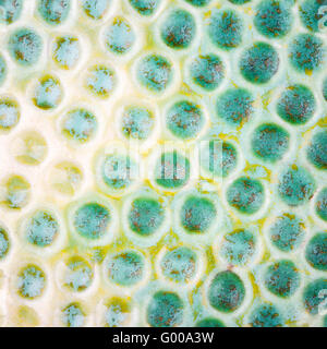 Closeup shot smaltata di verde puntinato texture ceramica Foto Stock