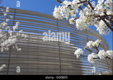 Badajoz, Spagna, 19 aprile: Centro congressi edificio progettato da José Selgas e Lucia Cano Foto Stock