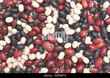 fagioli nani Foto Stock