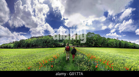 natura modo Foto Stock