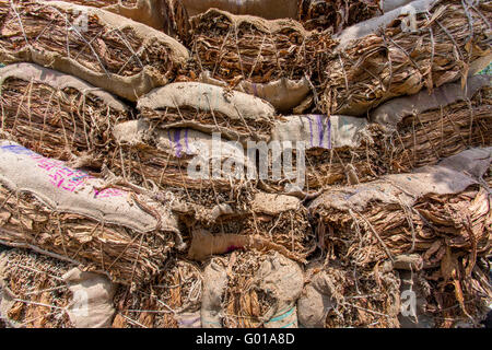 Grande quantità di tabacchi a secco il caricamento in un carrello portante in al di fuori di Dhaka, manikganj, Bangladesh. Foto Stock