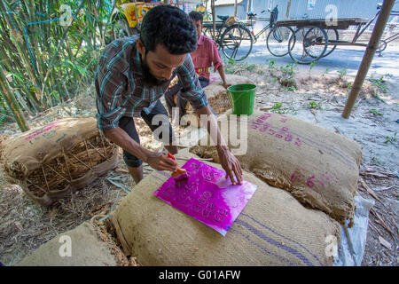 Un tabacco mercato tenuta lavoratore è al lavoro nel villaggio di lato di manikganj, Bangladesh. Foto Stock