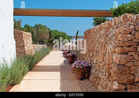 Minorca isole Baleari: muri di pietra e fiori nel paesaggio minorchino Foto Stock