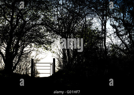 Il sentiero porta di metallo e silhouette di siepe in Oxfordshire campagna. Inghilterra Foto Stock