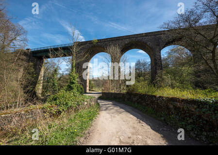 Viadotto sul fiume Goyt vicino Marple, Stockport, Inghilterra. Una soleggiata giornata di primavera. Foto Stock