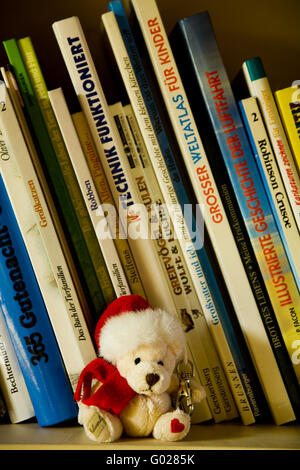 Libri children's con orso Foto Stock