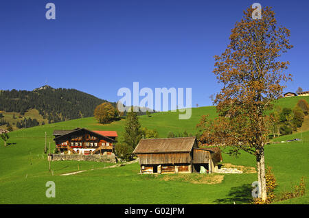 Tradizionale casa di campagna vicino a Gstaad, Svizzera Foto Stock