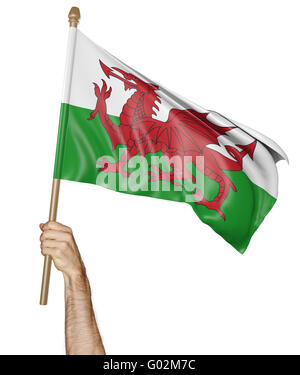 Mano orgogliosamente sventolare la bandiera nazionale del Galles, rendering 3D Foto Stock