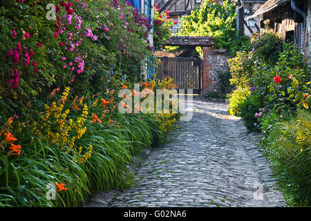 Fioritura di una stretta viuzza, Gerberoy, Piccardia, Francia Foto Stock