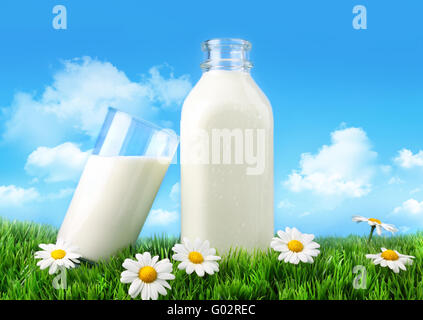 Bottiglia e bicchiere di latte con erba e margherite Foto Stock