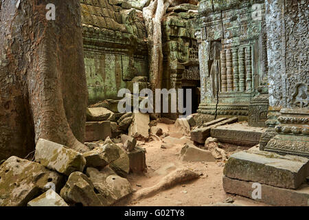 Radici di albero che cresce su Ta Prohm rovine del tempio (XII secolo), Angkor Sito Patrimonio Mondiale, Siem Reap, Cambogia Foto Stock