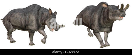 Un Brontotherium dall America del Nord Foto Stock