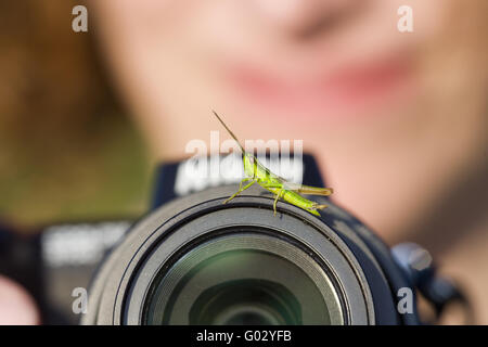 Grasshopper su una telecamera Foto Stock