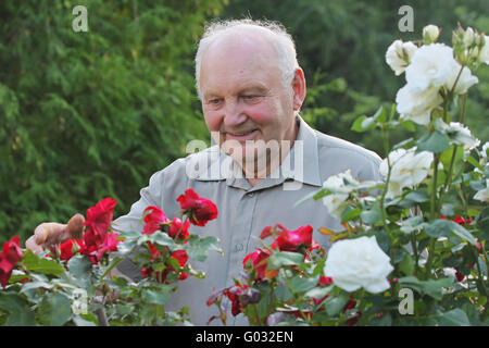 Ritratto di un coltivatore di rose Foto Stock