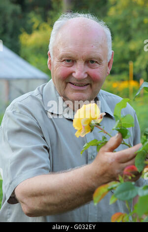 Coltivatore di Rose Foto Stock