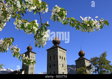 Fioritura di ciliegio a Stockalperpalast, Svizzera Foto Stock