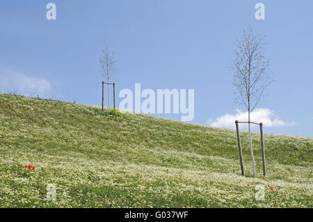 Heap artificiale al Lago Phoenixsee sui terreni della ex acciaierie Hermannshuette Foto Stock