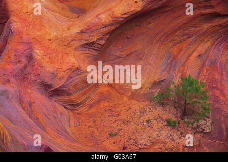 Scogliere color ocra vicino Roussillon, Provenza, Francia Foto Stock