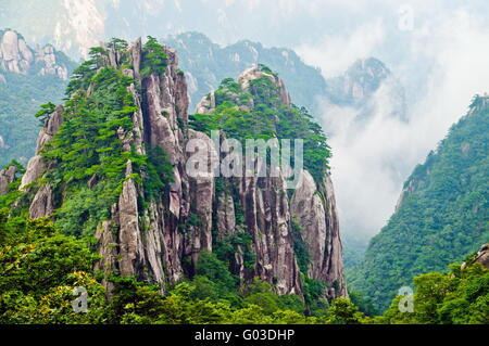 In cima in giallo le montagne sacre Huangshan in Cina Foto Stock