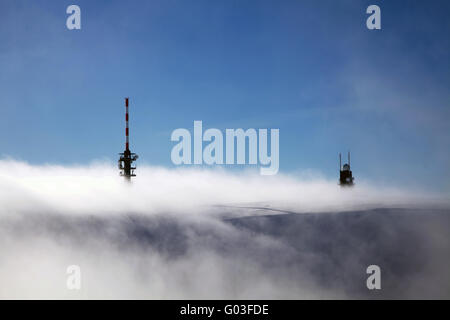 In Feldberg Foresta Nera Foto Stock