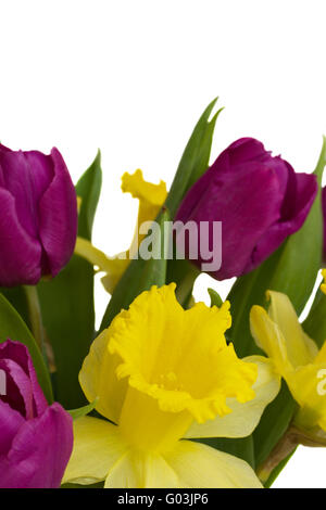 La molla bouquet di tulipani e narcisi Foto Stock