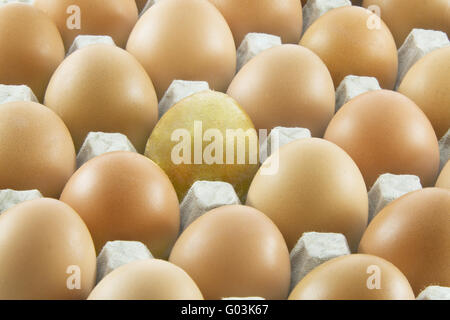 Una Golden Egg con molti comuni rurali fresco uova imballate in contenitore di cartone Foto Stock