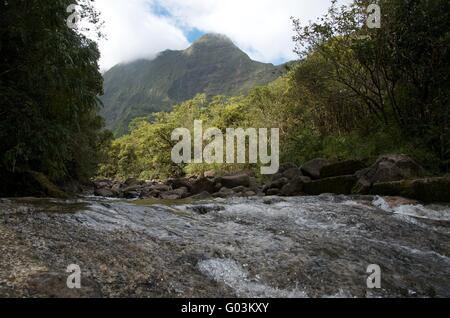 Fast fiume che scorre nella foresta pluviale tropicale Foto Stock