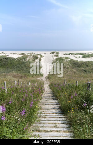 Passerella per la spiaggia Foto Stock