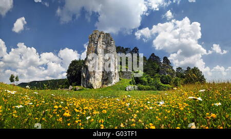 Prato di fiori nel castello di roccia in pietra con Dollns Foto Stock