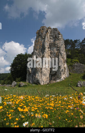 Prato di fiori nel castello di roccia in pietra con Dollns Foto Stock