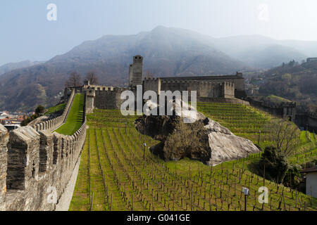 Castel Grande e vino Foto Stock