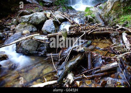 La cascata Foto Stock