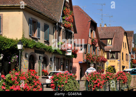 Tipiche case a graticcio, città vecchia, Grand Rue, Ribeauville, Alsazia, Francia Foto Stock