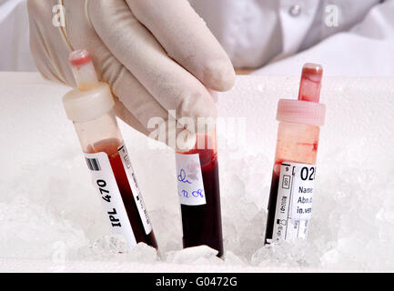 La biotecnologia, sangue cannula, vacutainer, il campione di sangue, la provetta, ghiaccio, laboratorio, società In.Vent Diagnostica, Hennigsdorf, Brandeburgo, Germania Foto Stock