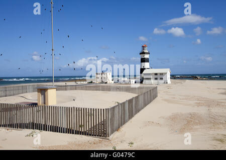 Cape recife faro,SUDAFRICA Foto Stock