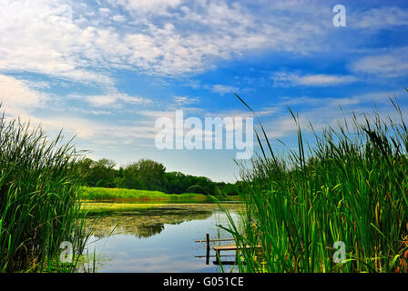 Il lago con ance in blu cielo nuvoloso Foto Stock