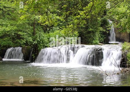 Bella rapids tra vegetazione vicino a Monte su gel Foto Stock