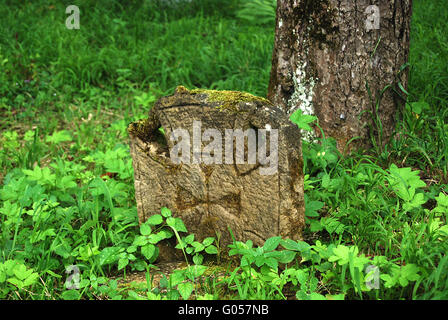 Antica lapide cristiana in prato boschivo e albero Foto Stock