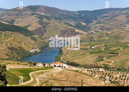 Paesaggio nella Valle del Douro vicino Pinhão Foto Stock